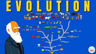 Darwins theory of Evolution A REALLY SIMPLE and Brief Explanation [upl. by Llessur]