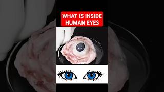 WHAT IS INSIDE HUMAN EYE AMAZING AYATUL KURSI RECITATION shorts [upl. by Procter]