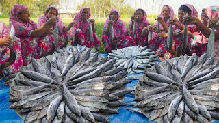 Mackerel Fish Curry  Sea Fish Cooking in Village  Bengali Style Fish Recipe of Ladies [upl. by Egiap]