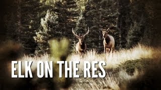 Elk Hunt on the Reservation  New Mexico Elk Hunt [upl. by Ariaes]