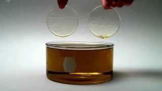 Aculon Oleophobic CoatingLenses Dipped in Oil [upl. by Aidroc]