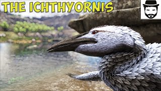 The Ichthyornis isnt just A thief it has a use Ark Survival Evolved [upl. by Yticilef72]