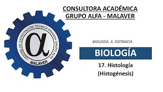 17 Histología Histogénesis [upl. by Ennovy]