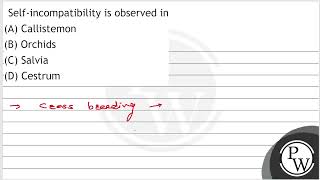 Selfincompatibility is observed in A Callistemon B Orchids C Salvia D Cestrum [upl. by Greysun]