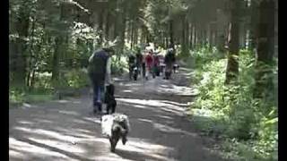 Regio wandeling Amsterdamsbos [upl. by Lemmueu]