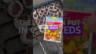 Unveiling the Best Seed Starting Kit for Your Garden 🌿 [upl. by Bouldon]