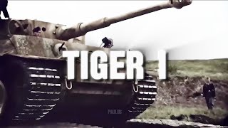 TiGER I EDITS APOGEE  HD FOOTAGE COLOR [upl. by Einnaoj]