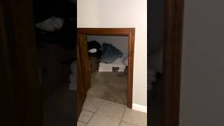 Chuck E Cheese Attacked Inside Closet [upl. by Anselm]