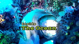 Inside The Ocean Theme [upl. by Alvinia619]