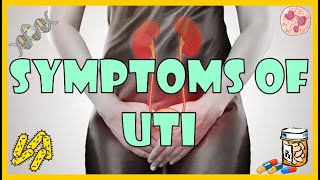 Urinary Tract Infection UTI Symptoms Causes amp Risk Factors [upl. by Hayalat582]