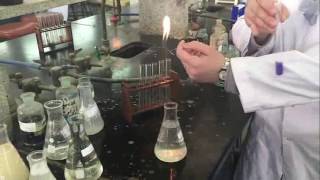 Practical biochemistry 1st year  Video2 [upl. by Ainegue]