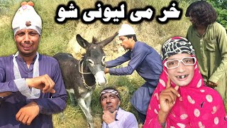 Khar Me Lewane Sho Pashto New Funny Video 2022 by Bebe Vines Plus [upl. by Anilecram524]