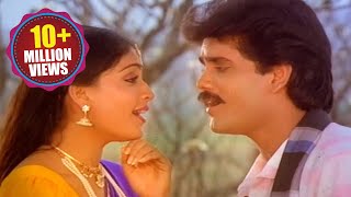 Janaki Ramudu Songs  Na Gonthu Shrutilona  Nagarjuna Vijayashanti [upl. by Atinehc]