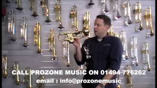 The Bach Strad explained  Prozone Musiccom [upl. by Jahdol987]