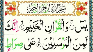 Surah Yaseen Beautiful Recitation  Yasin Sharif Full  Surah Yaseen with HD Arabic Text سورۃ یس [upl. by Rahas]