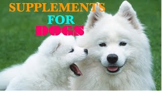 All Natural Dog Vitamins  Supplements for Dogs Glucosamine for Dogs  VitaLife Show Episode 147 [upl. by Bart]