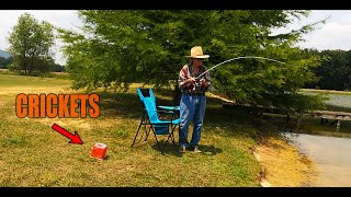 Bluegill Fishing Using Live Crickets as Bait [upl. by Ayerim]