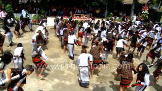 Burial Ceremony in Luhya Culture Kenya [upl. by Brnaby94]