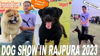 Dog Show in Punjab 2023  Rajpura Dog show 2023  Worth 10 lakhs 😱 [upl. by Marsh]