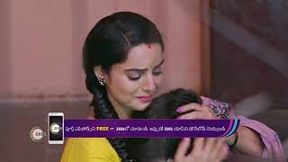 Oohalu Gusagusalade  Ep 735  Webisode  Sep 13 2023  Akul Balaji and Roopa Shravan  Zee Telugu [upl. by Elgar789]