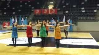 quotSirtakiquotDance group quotAl Balquot Сhoreographer Irina JammalGimnastradaquot Haifa2014 Archive [upl. by Rochette]