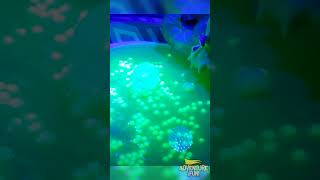 Inside Heroes of Goo Jit Zu Goo Shifters Glow in The Dark AdventureFun Toy Review Orbeez Glow [upl. by Esertak245]