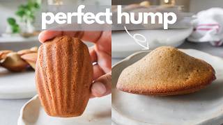 How to Make Perfect French Madeleines at Home  Classic French Madeleines Recipe with Perfect Hump [upl. by Ashely]