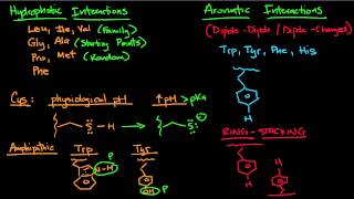 Hydrophobic and Aromatic Interactions [upl. by Flanagan]