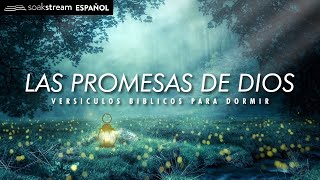 Salmos para dormir en paz  Salmo 91 23 51 121 y muchos más  8hrs  la Biblia [upl. by Yhtamit910]