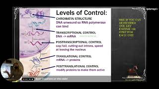 HBio Review Chapter 25 Control of Gene Expression [upl. by Bergh]