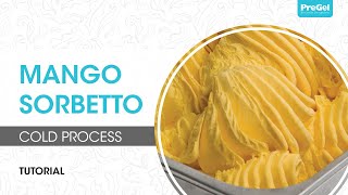 Cold Process Mango Sorbetto [upl. by Awra]