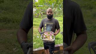 Afgan chicken recipe 👌 food recipe [upl. by Nalo560]