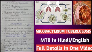 Micobacterium tuberculosis  Mycobacterium tuberculi microbiology [upl. by Niwrehs]