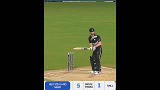 New Zealand Needs 19 runs in 6 balls against India  Real Cricket 24 [upl. by Wiggins]