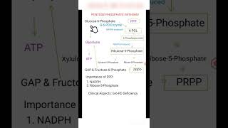 The Pentose Phosphate Pathway [upl. by Mazman]