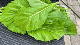 Homegrown Holidays FarmtoTable Fall Garden Harvest🇯🇲 [upl. by Carrie]