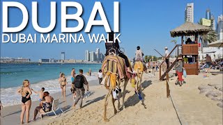 Dubai Marina Explore JBR The Beach quotCAMEL RIDEquot The Walk Marina Promenade 011924 4KUHD [upl. by Duleba]