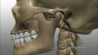 Disfunção Temporomandibular DTM [upl. by Okiman]