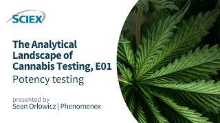 Revealing the Analytical Power of LCMSMS in Cannabis Potency Testing [upl. by Brigitte]