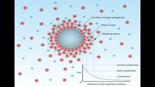 Lec 5 COLLOIDS  Electrical properties and Zeta potential شرح بالعربي [upl. by Atined]