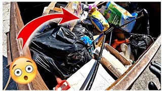 Dumpster Diving  I Barely Beat the Trash Truck to This Jackpot Dumpster [upl. by Woodhead]