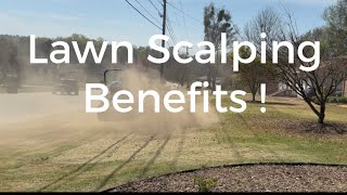 Lawn Scalping benefits and how to do it [upl. by Charyl236]