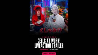 CELLS AT WORK  LIVEACTION TRAILER [upl. by Pratt]