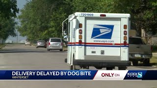 Mail delivery delayed by dog bite in Winterset [upl. by Saval]