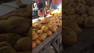 Feira livre de rua em LuziápolisALGalego da banana falando na feira feira alagoas [upl. by Luba152]