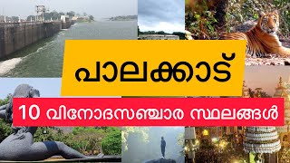 Ten tourist spot in Palakkad  പാലക്കാട്ടെ 10 വിനോദസഞ്ചാര കേന്ദ്രങ്ങൾ  Malayalam  Indian Yatra [upl. by Ayokal]