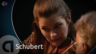 Schubert Pianotrio in Besgroot D 898  Janine Jansen amp Friends  Kamermuziek Festival 2011 [upl. by Sax328]