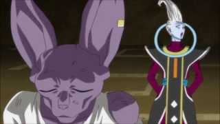 whis wakes beerus english dub [upl. by Muire]