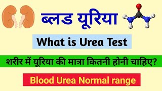 ब्लड यूरिया क्या है शरीर में यूरिया की मात्रा कितनी होनी चाहिए blood urea normal range [upl. by Burhans]