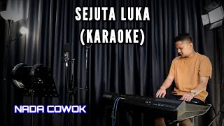 SEJUTA LUKA  KARAOKE NADA COWOK  DANGDUT VERSI UDA FAJAR [upl. by Jorgan]